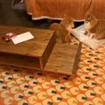 Vinyl Storage Cabinet with Floating Isolation Amp Shelf photo review