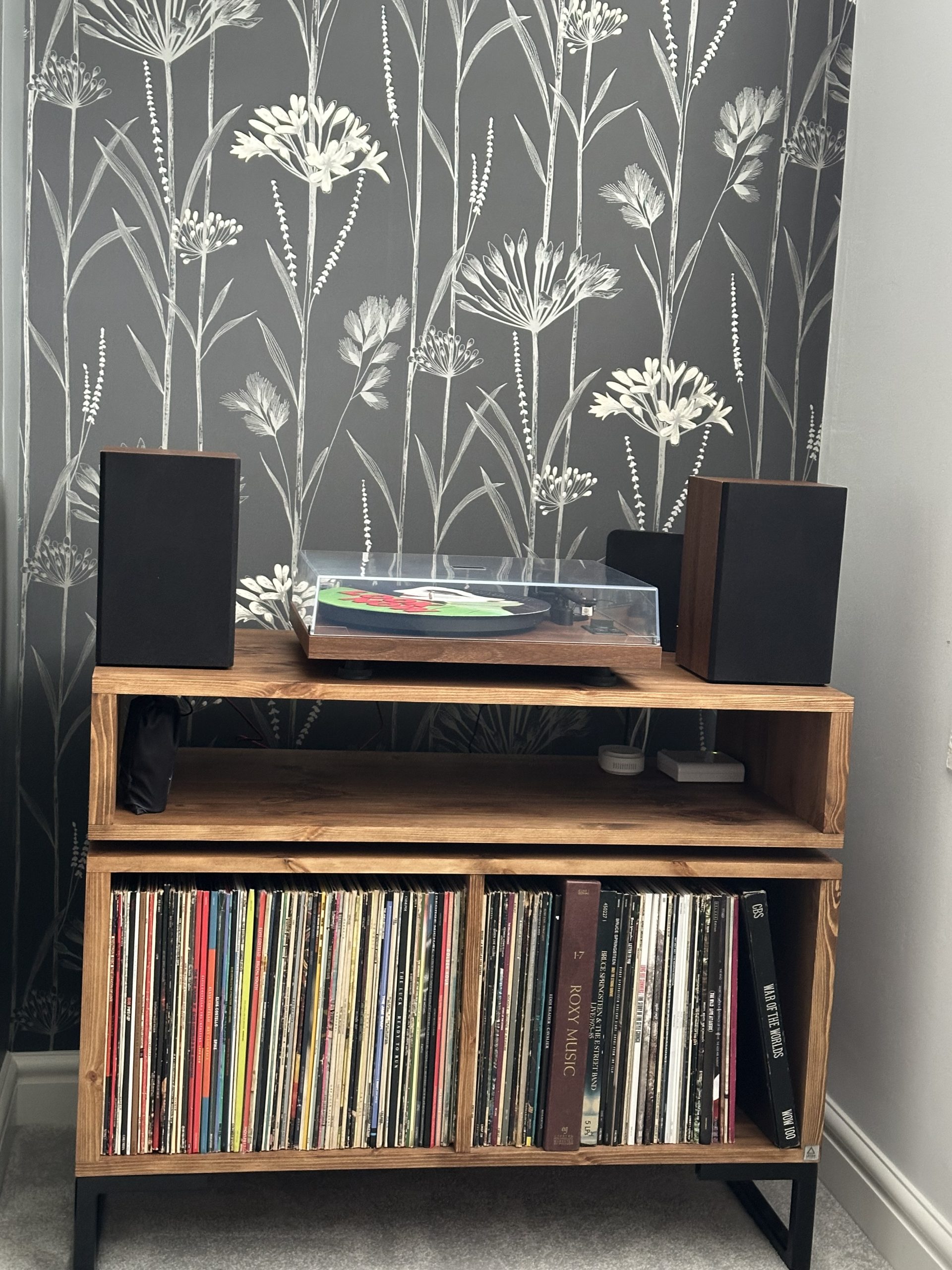 Vinyl Storage Cabinet with Floating Isolation Amp Shelf photo review