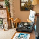 Vinyl Storage Cabinet with Floating Isolation Amp Shelf photo review