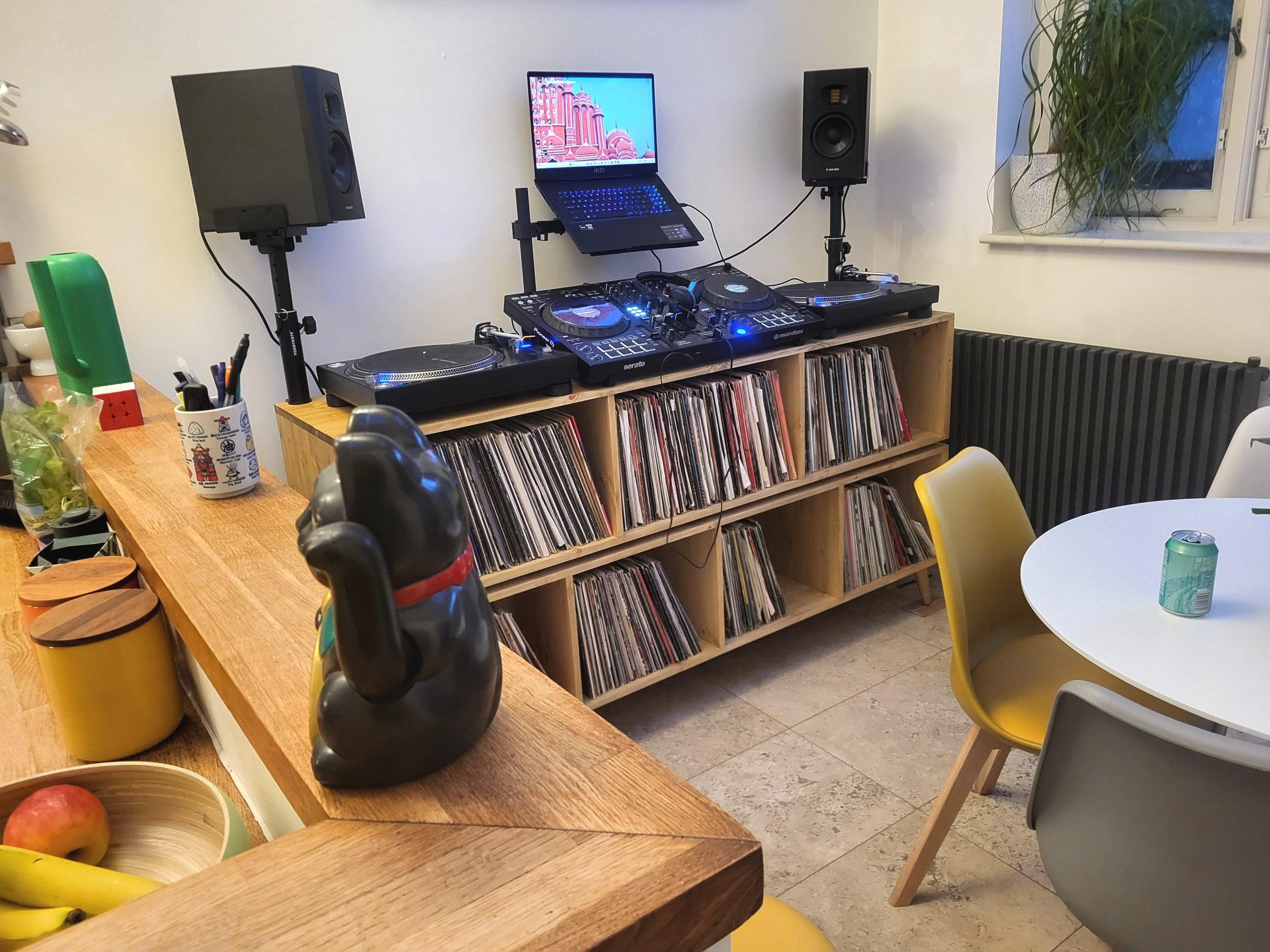 Många - Two Tier Vinyl Storage Cabinet for Collectors photo review